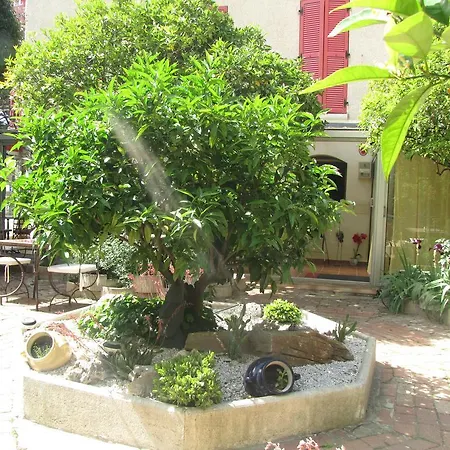 Les Orangers Hotel